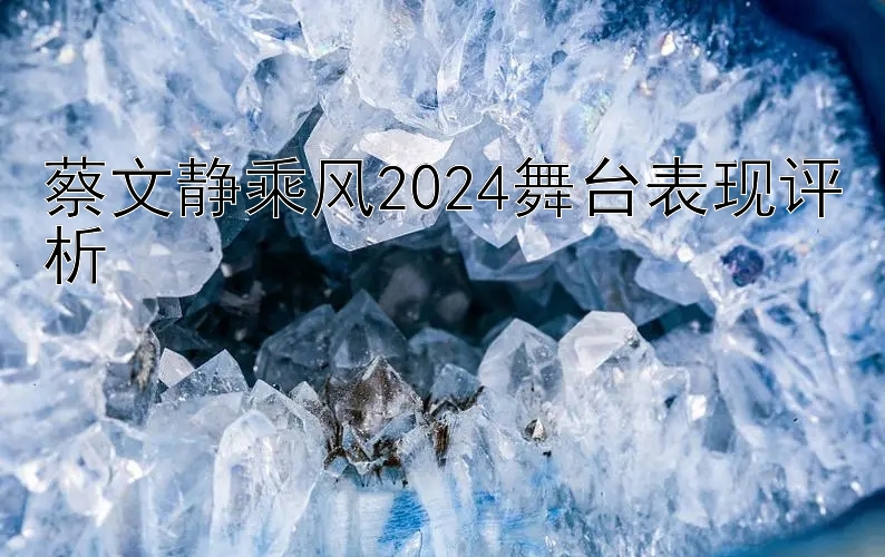 蔡文静乘风2024舞台表现评析