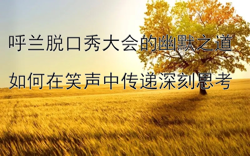 快三计划赚钱 呼兰脱口秀大会的幽默之道  如何在笑声中传递深刻思考