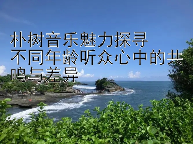 朴树音乐魅力探寻  
不同年龄听众心中的共鸣与差异